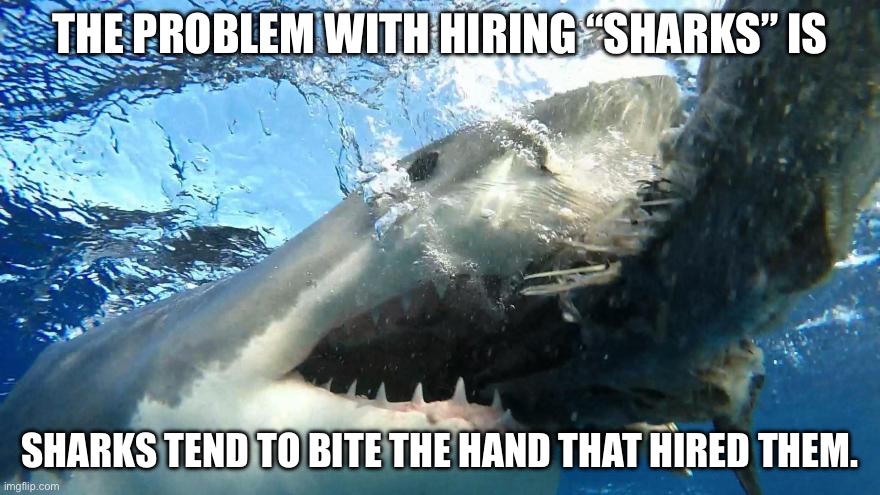 Hiring Sharks | THE PROBLEM WITH HIRING “SHARKS” IS; SHARKS TEND TO BITE THE HAND THAT HIRED THEM. | image tagged in shark,sharks,you're hired,work,the probelm is | made w/ Imgflip meme maker