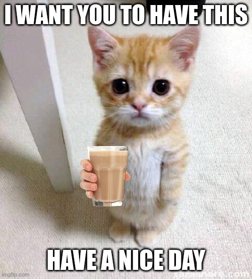 have a nice day :) | I WANT YOU TO HAVE THIS; HAVE A NICE DAY | image tagged in memes,cute cat | made w/ Imgflip meme maker