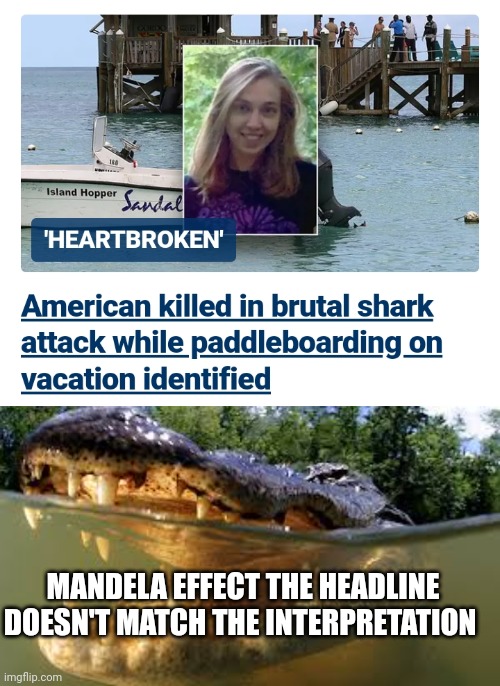 News fail | MANDELA EFFECT THE HEADLINE DOESN'T MATCH THE INTERPRETATION | image tagged in alligator,fake news,thoughts and prayers | made w/ Imgflip meme maker