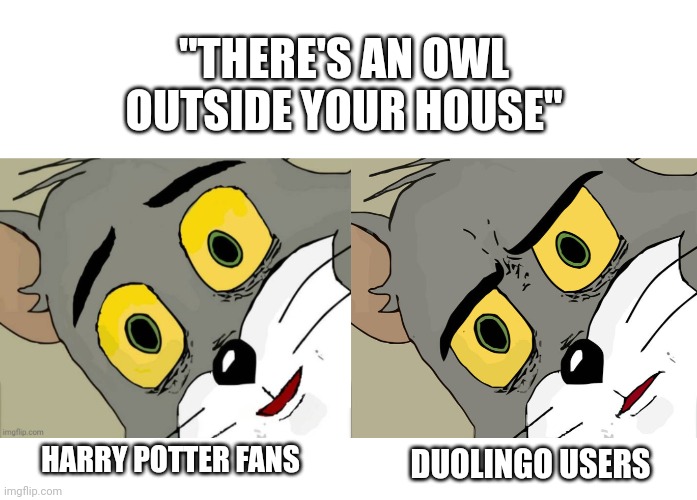 [original joke from memenade] | "THERE'S AN OWL OUTSIDE YOUR HOUSE"; DUOLINGO USERS; HARRY POTTER FANS | image tagged in happy tom,memes,unsettled tom,harry potter,duolingo | made w/ Imgflip meme maker