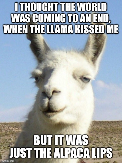 Llama alpaca lips | I THOUGHT THE WORLD WAS COMING TO AN END, WHEN THE LLAMA KISSED ME; BUT IT WAS JUST THE ALPACA LIPS | image tagged in alpaca,llama,kiss,apocalypse | made w/ Imgflip meme maker