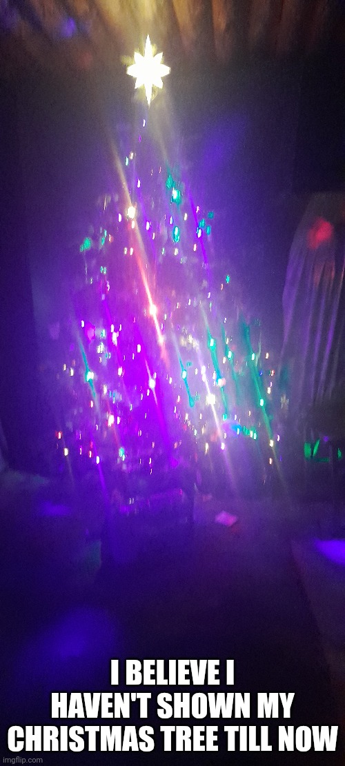 Christmas tree :3 | I BELIEVE I HAVEN'T SHOWN MY CHRISTMAS TREE TILL NOW | image tagged in christmas,tree,christmas tree | made w/ Imgflip meme maker