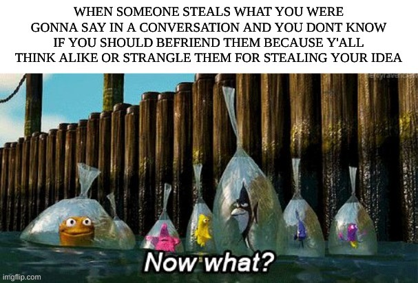 Soooo annoying yes? | image tagged in conversation,funny memes,now what,finding nemo | made w/ Imgflip meme maker