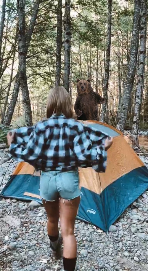 Spying bear | image tagged in camping,outdoors,nature,dumb blonde,animals,chainsaw bear | made w/ Imgflip meme maker
