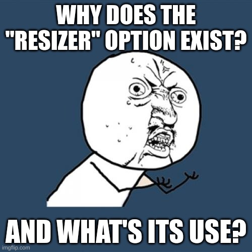 Like srsly! | WHY DOES THE "RESIZER" OPTION EXIST? AND WHAT'S ITS USE? | image tagged in memes,y u no,useless things,fresh memes | made w/ Imgflip meme maker