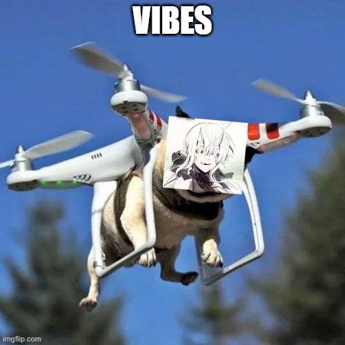 Flying Pug Imgflip