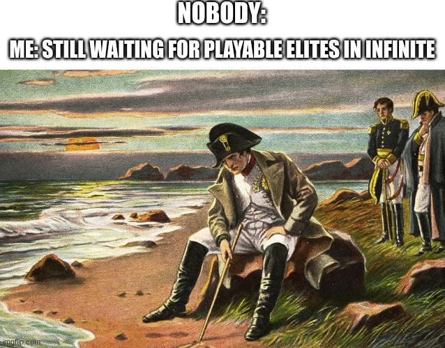 playable elites are so cool, actually elites in general are cool | NOBODY:; ME: STILL WAITING FOR PLAYABLE ELITES IN INFINITE | image tagged in napoleon | made w/ Imgflip meme maker