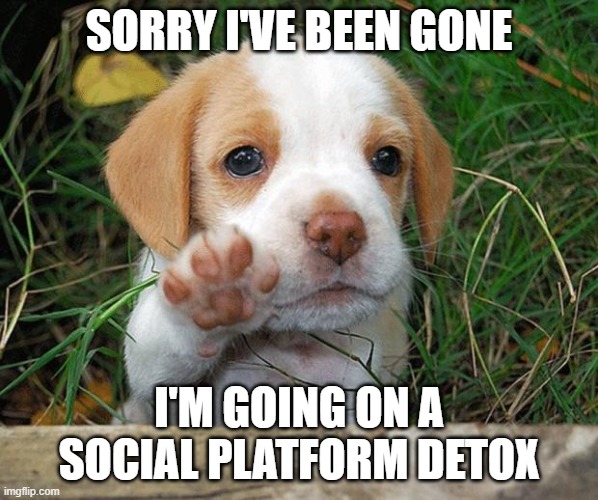 justtrustme, i'm going through something. | SORRY I'VE BEEN GONE; I'M GOING ON A SOCIAL PLATFORM DETOX | image tagged in dog puppy bye,seeya | made w/ Imgflip meme maker