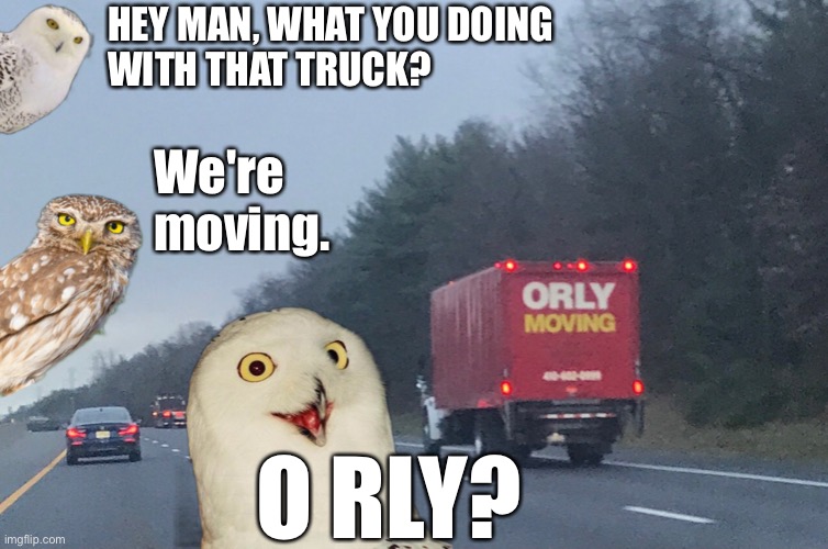 Moving? O RLY? | HEY MAN, WHAT YOU DOING
WITH THAT TRUCK? We're
moving. O RLY? | image tagged in o rly,truck,moving | made w/ Imgflip meme maker