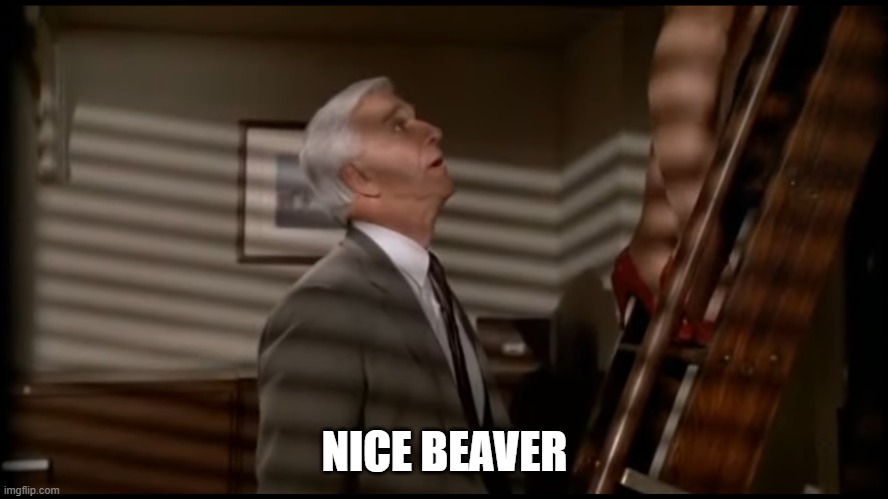 Nice Beaver | NICE BEAVER | image tagged in leslie nielsen,naked gun,beaver | made w/ Imgflip meme maker