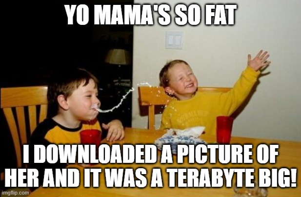 yo mama joke | YO MAMA'S SO FAT; I DOWNLOADED A PICTURE OF HER AND IT WAS A TERABYTE BIG! | image tagged in memes,yo mamas so fat,fat,plus size,yo mama,stop reading the tags | made w/ Imgflip meme maker