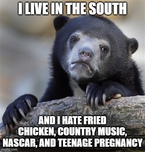 Woe to me being a Southerner | I LIVE IN THE SOUTH; AND I HATE FRIED CHICKEN, COUNTRY MUSIC, NASCAR, AND TEENAGE PREGNANCY | image tagged in memes,confession bear,the south,rednecks | made w/ Imgflip meme maker