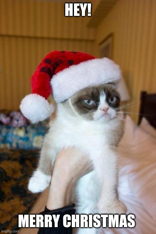 Or happy holidays | HEY! MERRY CHRISTMAS | image tagged in memes,grumpy cat christmas,grumpy cat | made w/ Imgflip meme maker