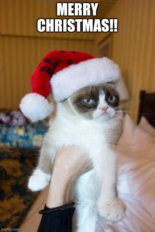 Merry Christmas | MERRY CHRISTMAS!! | image tagged in memes,grumpy cat christmas,grumpy cat,christmas | made w/ Imgflip meme maker