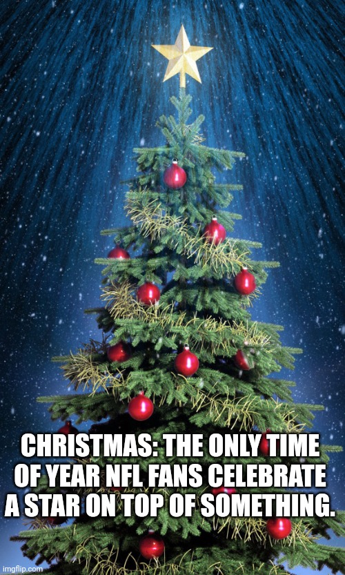 Cowboys Christmas Tree | CHRISTMAS: THE ONLY TIME OF YEAR NFL FANS CELEBRATE A STAR ON TOP OF SOMETHING. | image tagged in nfl memes,dallas cowboys,christmas tree | made w/ Imgflip meme maker