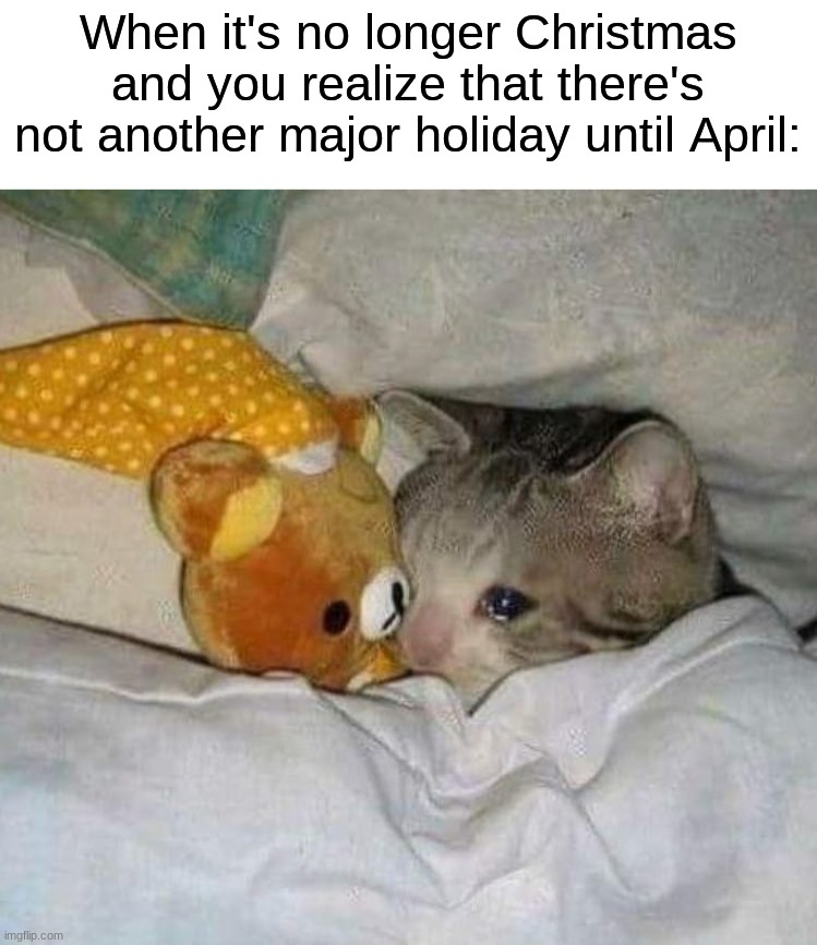 Nothing to look forward to except New Years Eve | When it's no longer Christmas and you realize that there's not another major holiday until April: | image tagged in crying cat,memes,funny,christmas,relatable memes,true story | made w/ Imgflip meme maker
