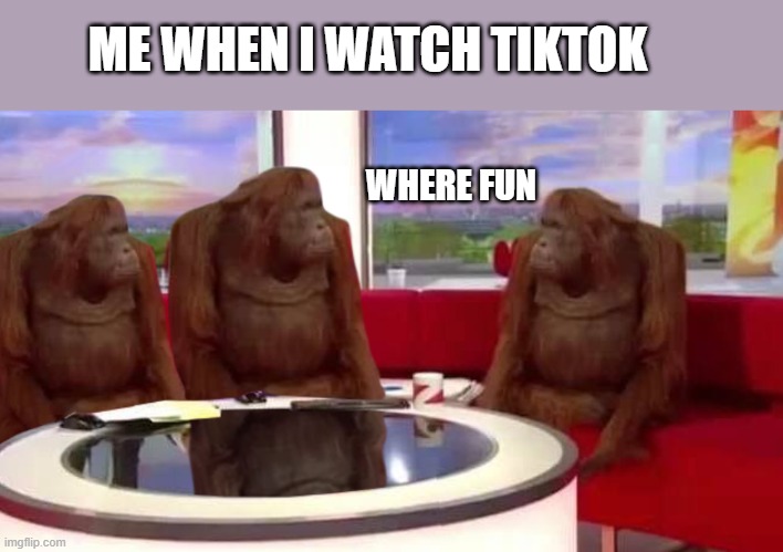 tik tok isn't funny | ME WHEN I WATCH TIKTOK; WHERE FUN | image tagged in where monkey | made w/ Imgflip meme maker