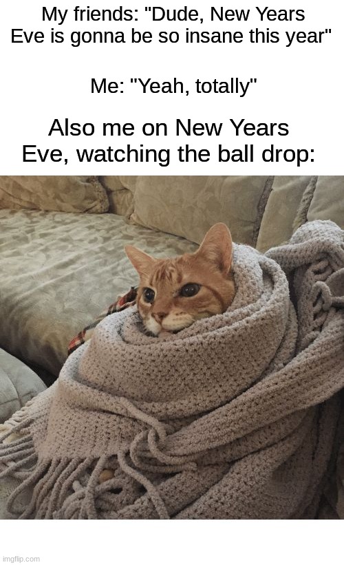 Sitting on your couch with family and friends tonight is great | My friends: "Dude, New Years Eve is gonna be so insane this year"; Me: "Yeah, totally"; Also me on New Years Eve, watching the ball drop: | image tagged in cozy cat,memes,funny,new years eve,happy new year,2024 | made w/ Imgflip meme maker