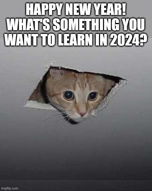 Happy New Year guys | HAPPY NEW YEAR! WHAT'S SOMETHING YOU WANT TO LEARN IN 2024? | image tagged in memes,ceiling cat | made w/ Imgflip meme maker