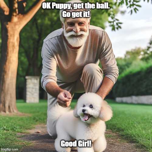 Life is short, play with your dog! | OK Puppy, get the ball.
Go get it! Good Girl! | image tagged in fetch,puppy,play,go get it | made w/ Imgflip meme maker