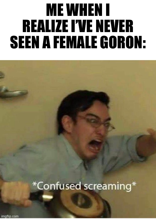 I’m pretty sure I’ve never seen a female before | ME WHEN I REALIZE I’VE NEVER SEEN A FEMALE GORON: | image tagged in confused screaming | made w/ Imgflip meme maker