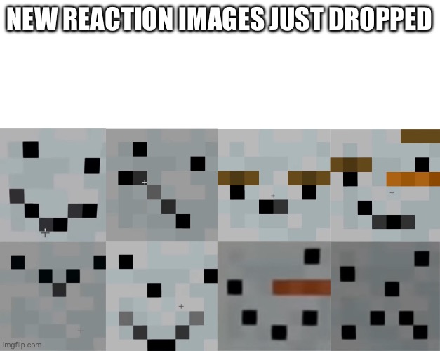 New reaction images just dropped | NEW REACTION IMAGES JUST DROPPED | image tagged in reaction,reactions,minecraft | made w/ Imgflip meme maker