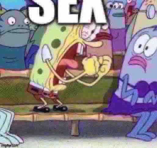 SEX Blank Template Imgflip