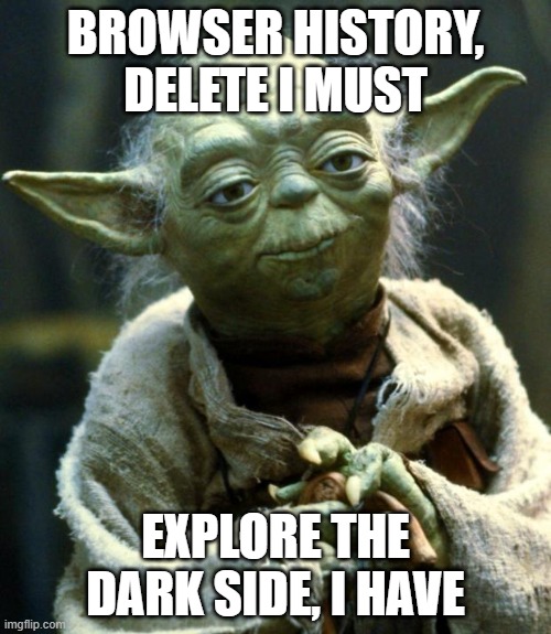 Yoda has seen the dark side | BROWSER HISTORY, DELETE I MUST; EXPLORE THE DARK SIDE, I HAVE | image tagged in memes,star wars yoda | made w/ Imgflip meme maker