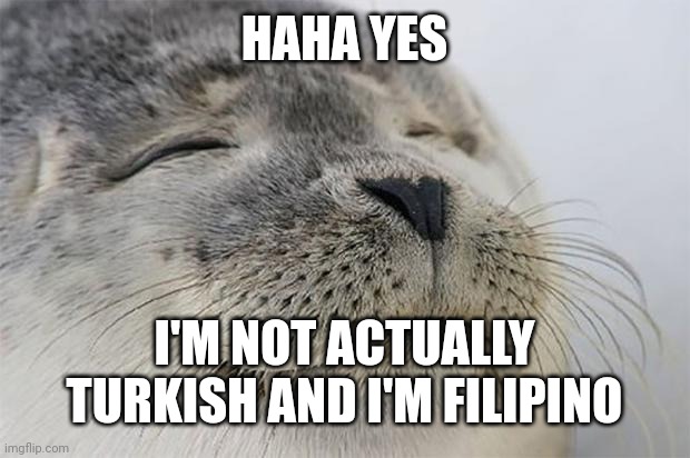 HAHA YES I'M NOT ACTUALLY TURKISH AND I'M FILIPINO | image tagged in memes,satisfied seal | made w/ Imgflip meme maker
