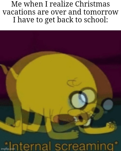 NOOOOOOOOO | Me when I realize Christmas vacations are over and tomorrow I have to get back to school: | image tagged in jake the dog internal screaming,memes,school,christmas vacation,relatable memes,funny | made w/ Imgflip meme maker
