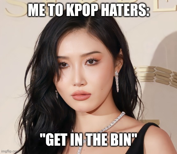 The kpop haters are now in the bin | ME TO KPOP HATERS:; "GET IN THE BIN" | image tagged in hwasa is staring at you | made w/ Imgflip meme maker