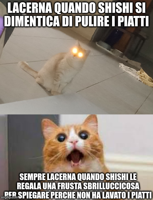 Image Tagged In Demon Cat Surprised Cat Imgflip