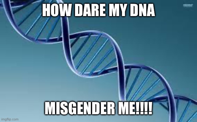 DNA is either specifically Male or specifically Female. No trans or non-binary DNA exists. | HOW DARE MY DNA; MISGENDER ME!!!! | image tagged in dna | made w/ Imgflip meme maker