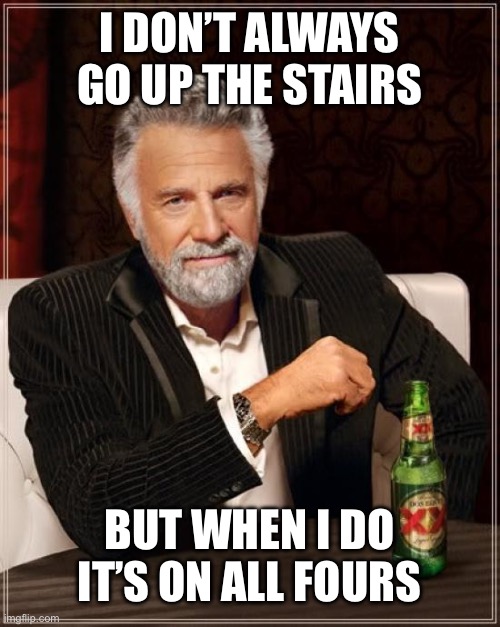 We all did this as a kid | I DON’T ALWAYS GO UP THE STAIRS; BUT WHEN I DO IT’S ON ALL FOURS | image tagged in memes,the most interesting man in the world | made w/ Imgflip meme maker