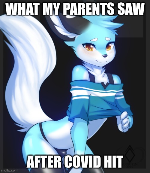 Me | WHAT MY PARENTS SAW; AFTER COVID HIT | image tagged in femboy furry | made w/ Imgflip meme maker