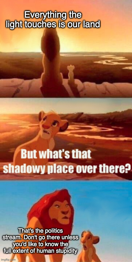 Posting on the politics stream is not for the faint of heart | Everything the light touches is our land; That's the politics stream. Don't go there unless you'd like to know the full extent of human stupidity | image tagged in memes,simba shadowy place,funny,politics | made w/ Imgflip meme maker