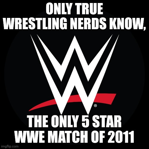 Wwe | ONLY TRUE WRESTLING NERDS KNOW, THE ONLY 5 STAR WWE MATCH OF 2011 | image tagged in wwe logo | made w/ Imgflip meme maker