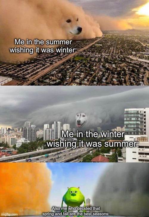 I hate when this happens | Me in the summer wishing it was winter:; Me in the winter wishing it was summer:; Also me who decided that spring and fall are the best seasons: | image tagged in dust doge storms and mikey caught in the middle,memes,seasons,summer,winter | made w/ Imgflip meme maker