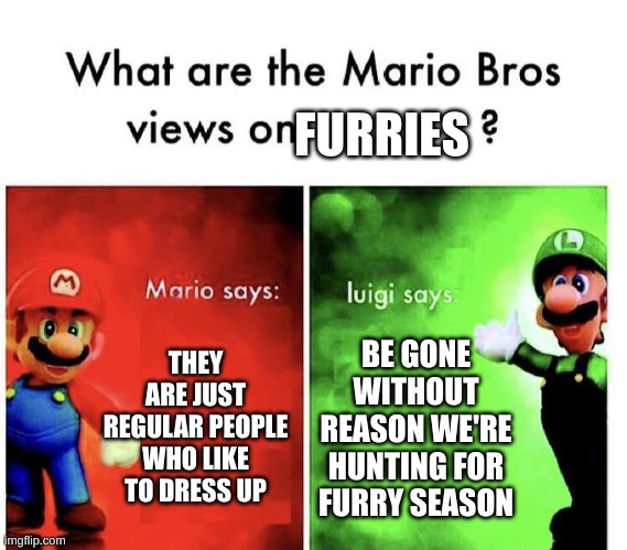 it's hunting time | FURRIES; THEY ARE JUST REGULAR PEOPLE WHO LIKE TO DRESS UP; BE GONE WITHOUT REASON WE'RE HUNTING FOR FURRY SEASON | image tagged in mario bros views,luigi,mario | made w/ Imgflip meme maker