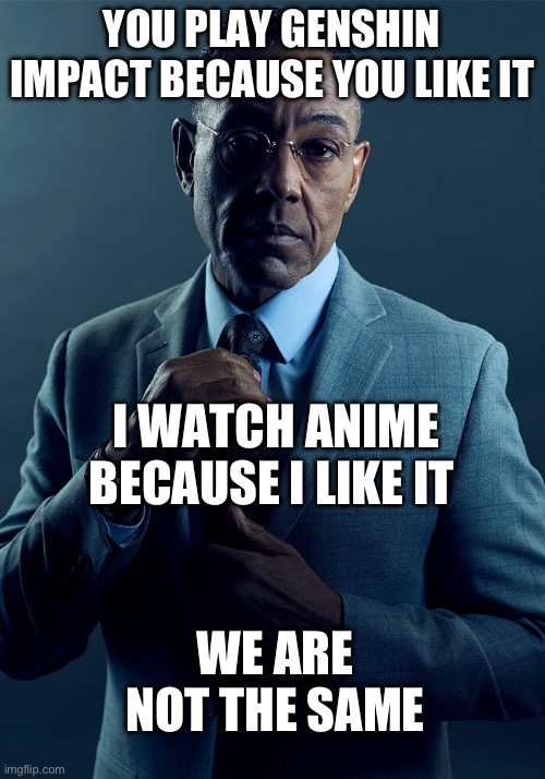 Anime and genshin aren’t the same | YOU PLAY GENSHIN IMPACT BECAUSE YOU LIKE IT; I WATCH ANIME BECAUSE I LIKE IT; WE ARE NOT THE SAME | image tagged in gus fring we are not the same | made w/ Imgflip meme maker