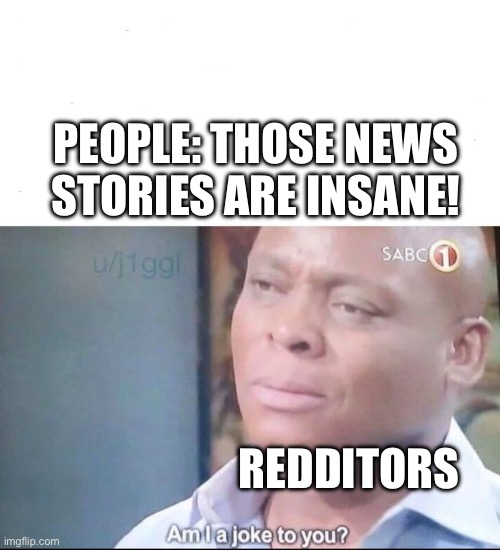 Redditors’ stories are absolutely insane | PEOPLE: THOSE NEWS STORIES ARE INSANE! REDDITORS | image tagged in am i a joke to you,memes,funny memes,reddit,true,social media | made w/ Imgflip meme maker