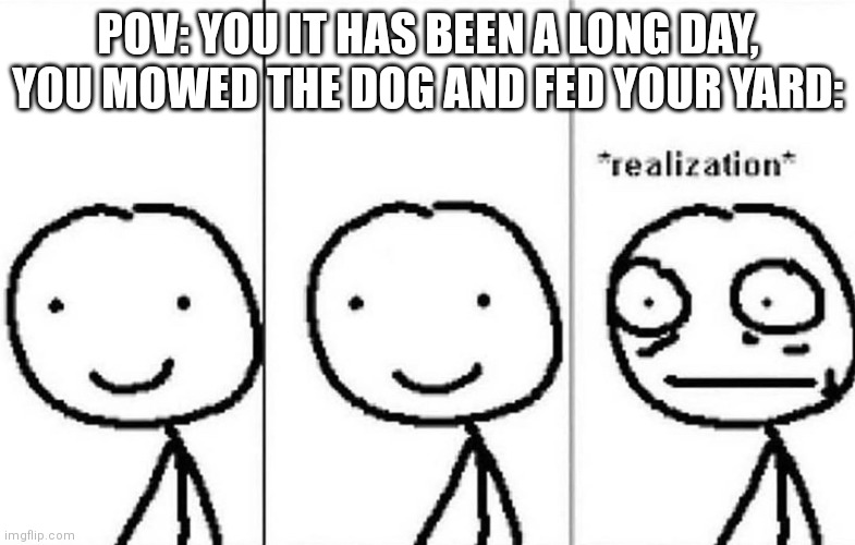 I don't get it | POV: YOU IT HAS BEEN A LONG DAY, YOU MOWED THE DOG AND FED YOUR YARD: | image tagged in realization,memes,oops | made w/ Imgflip meme maker