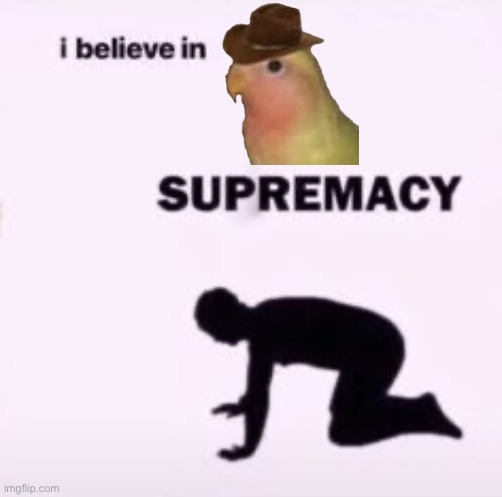 Gonb | image tagged in i believe in supremacy | made w/ Imgflip meme maker