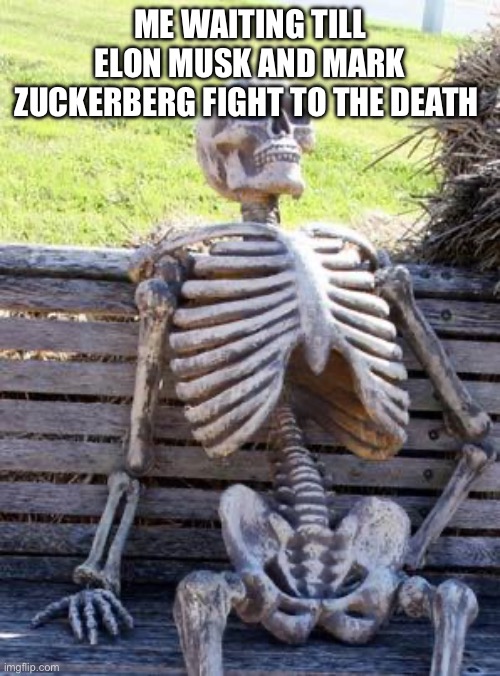 They promised it in 2023, where is it | ME WAITING TILL ELON MUSK AND MARK ZUCKERBERG FIGHT TO THE DEATH | image tagged in memes,waiting skeleton,elon musk,mark zuckerberg,fighting,where is | made w/ Imgflip meme maker