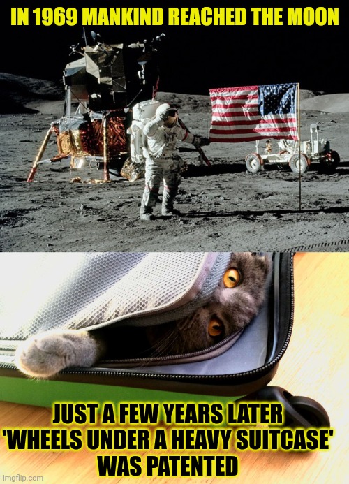 This #lolcat wonders if hoo-mans are as smart as they think they are | IN 1969 MANKIND REACHED THE MOON; JUST A FEW YEARS LATER 
'WHEELS UNDER A HEAVY SUITCASE' 
WAS PATENTED | image tagged in moon landing,lolcat,smart,human evolution,think about it | made w/ Imgflip meme maker
