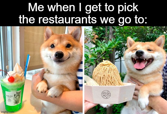 a happy day | Me when I get to pick the restaurants we go to: | image tagged in shiba inu,restaurant,food,memes,doge,relateable | made w/ Imgflip meme maker