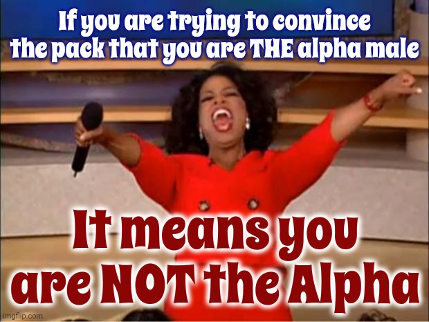 Your "Primitive" Is Showing | If you are trying to convince the pack that you are THE alpha male; It means you are NOT the Alpha | image tagged in memes,oprah you get a,men,violence is never the answer,male violence,alpha | made w/ Imgflip meme maker