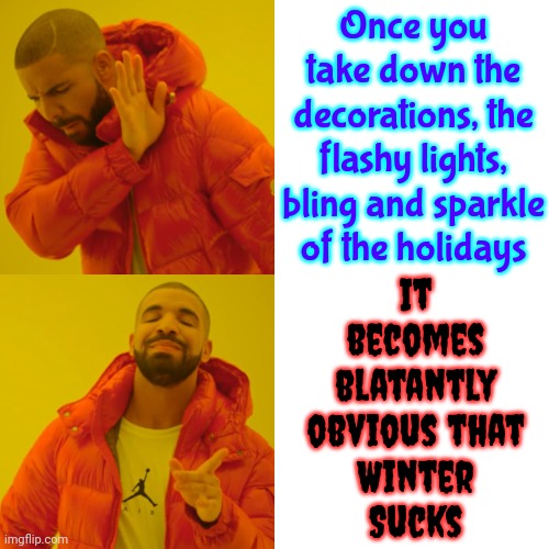 -10° | Once you take down the decorations, the flashy lights, bling and sparkle of the holidays; It becomes blatantly obvious that
Winter
Sucks | image tagged in memes,drake hotline bling,winter is here,freezing cold,it's too cold,frozen | made w/ Imgflip meme maker