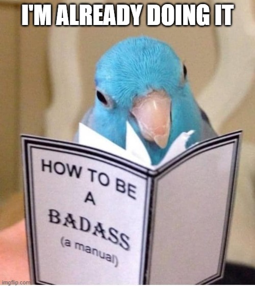 Bird reading BADASS | I'M ALREADY DOING IT | image tagged in bird reading,badass | made w/ Imgflip meme maker