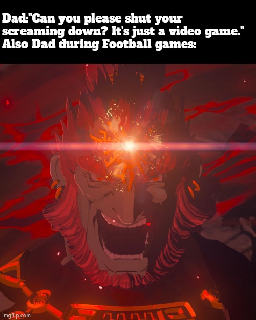 Now we are both, who should stop screaming, just because of the games. | Dad:"Can you please shut your screaming down? It's just a video game."
Also Dad during Football games: | image tagged in memes,funny,dad during football games,screaming | made w/ Imgflip meme maker